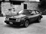 AMC AMX 2-Door Liftback Coupe 1979 года